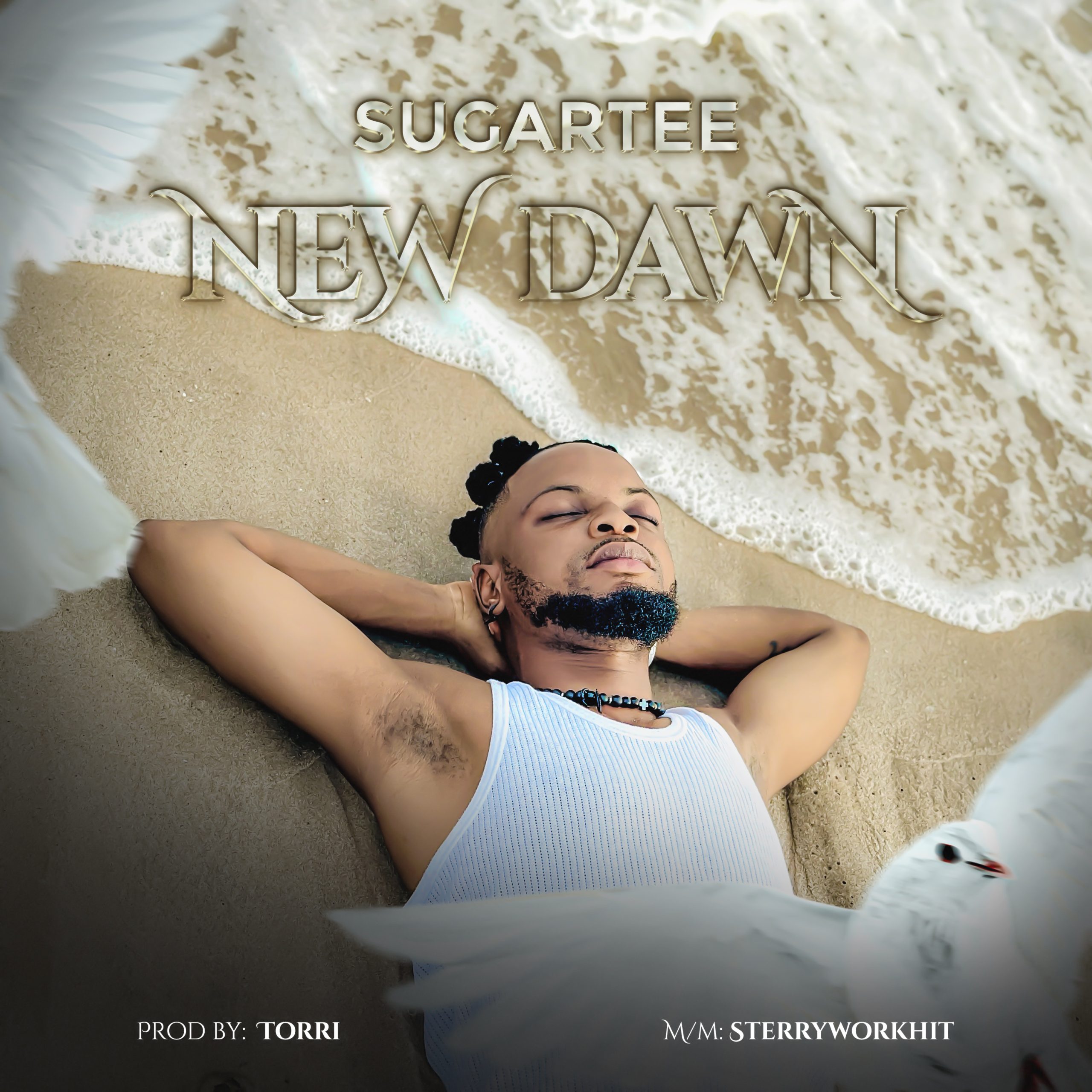 [MUSIC] Sugartee -New Dawn
