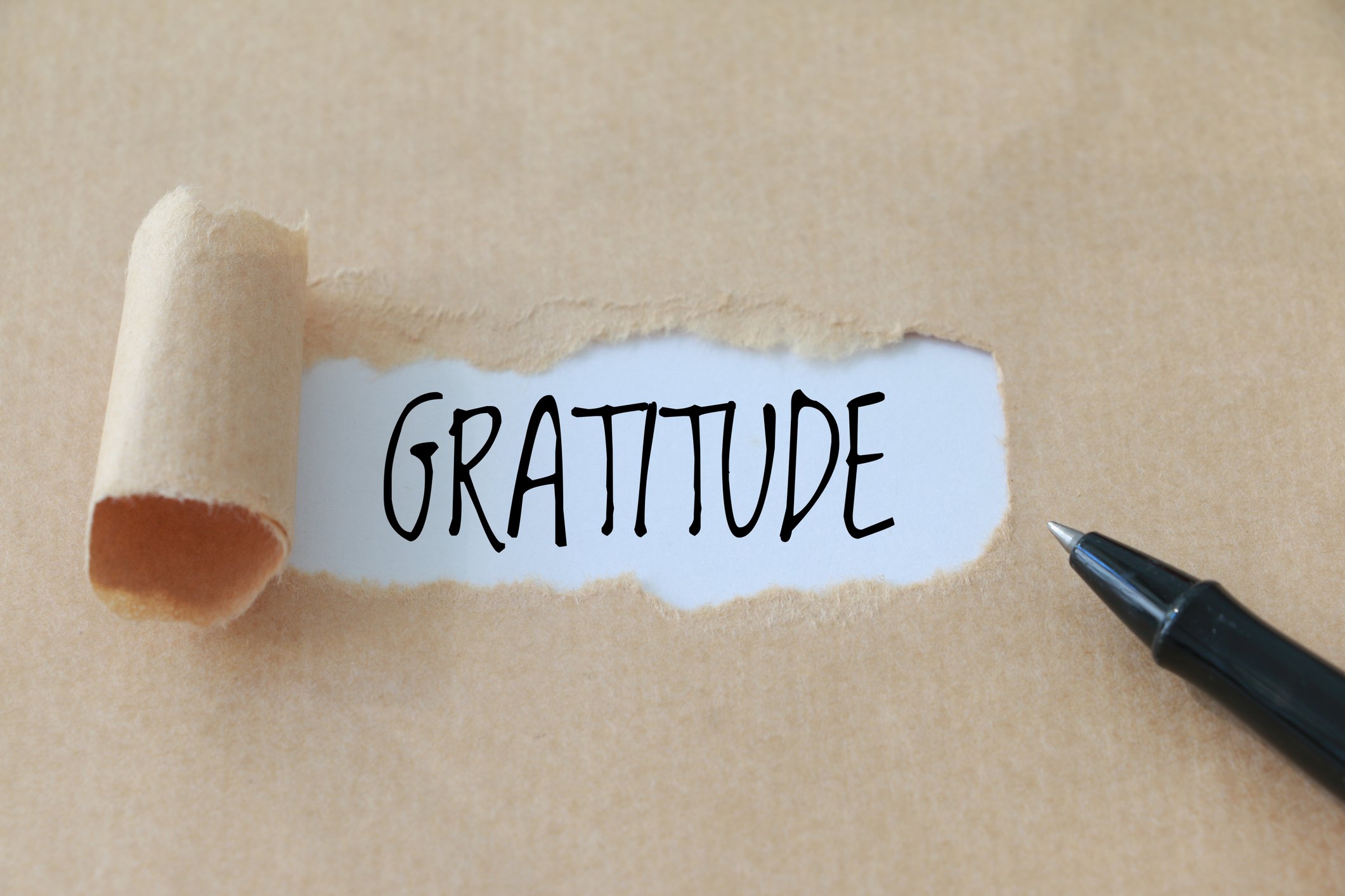 [INSPIRATIONAL MONDAY] Embracing Gratitude: The Key to a Happier Life